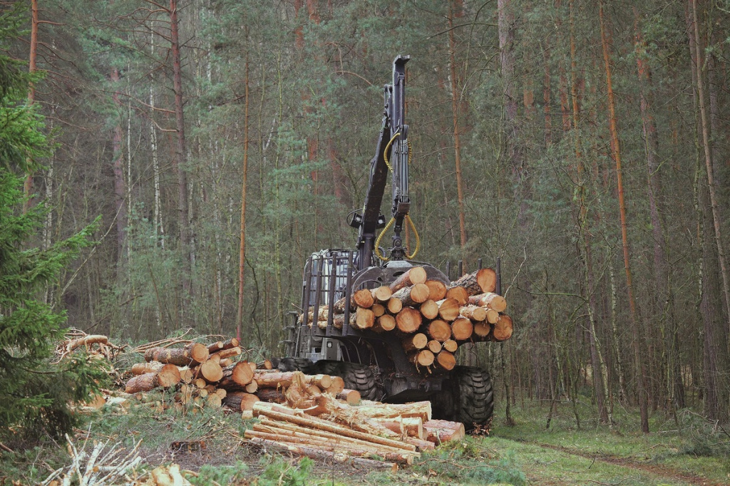 Компания BKT вносит свой вклад в общее дело, создавая высокоэффективные шины, которые дают адекватный ответ на запрос такого требовательного рынка. Компания BKT вносит свой вклад в общее дело, создавая высокоэффективные шины, которые дают адекватный ответ на запрос такого требовательного рынка.